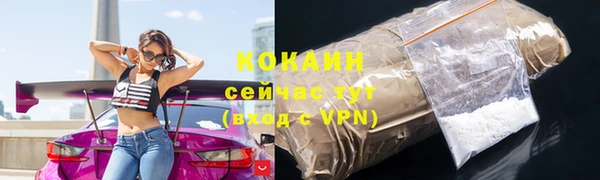 соль ск Пересвет